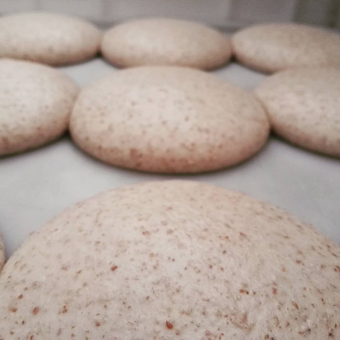 Palline di impasto a riposo prima della lievitazione