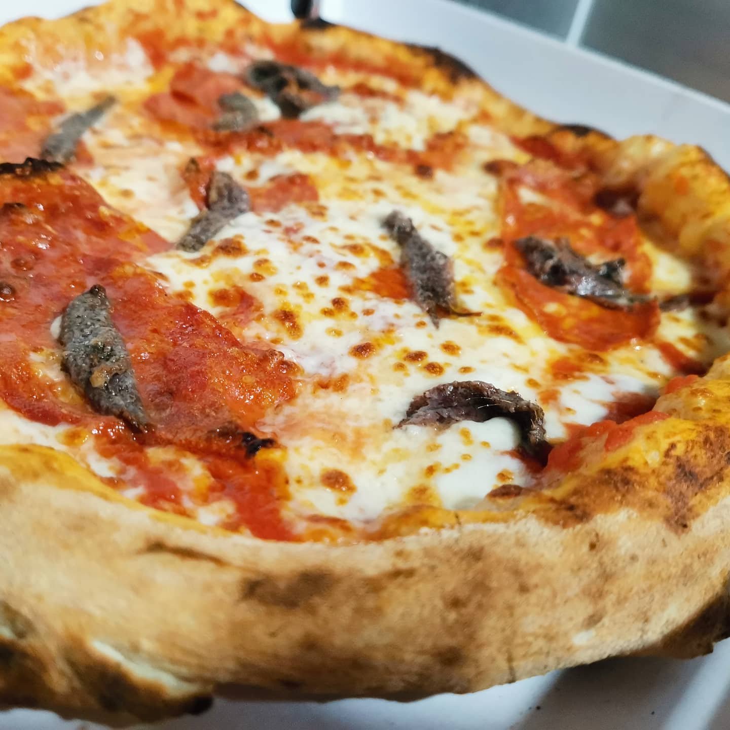 Pizza classica con acciughe